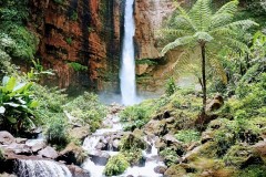IMG_20211231_1153562