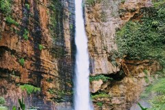 IMG_20211231_1210152