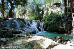 IMG_20220709_1121382