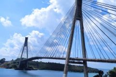 IMG_20201203_0959152