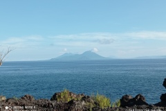 IMG_20211128_080939