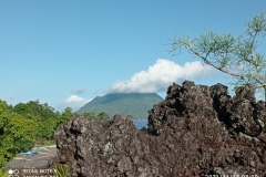 IMG_20211128_080954