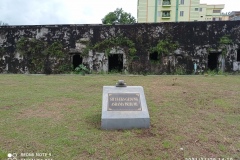 IMG_20211128_141913