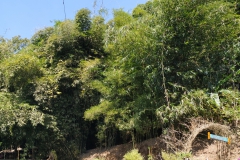 IMG_20190607_114405