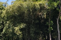 IMG_20190607_115657
