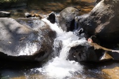 IMG_20190601_120633