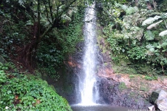 IMG_20220821_093648
