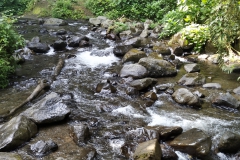 IMG_20190714_091613