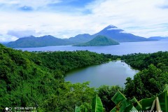 IMG_20211127_1426372