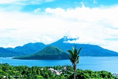 IMG_20211127_1449372