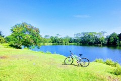 IMG_20220503_0938352