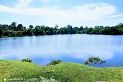 IMG_20220503_0946152