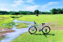 IMG_20220503_0936102