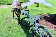 IMG_20220503_0953362