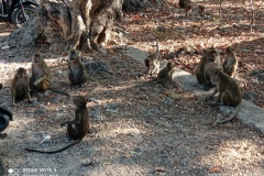 IMG_20220710_154054