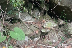 IMG_20220522_124729