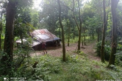 IMG_20220522_090756
