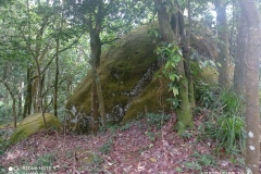 IMG_20220522_104129