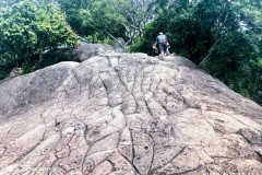 IMG_20220522_1111312