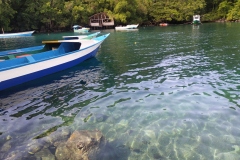 IMG_20211128_071622