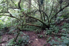 IMG_20220820_101628