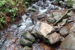 IMG_20220820_102837