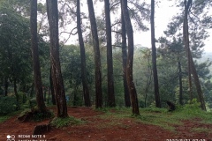 IMG_20220821_072342