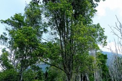 IMG_20211128_1314412