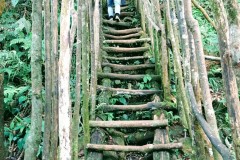 IMG_20210918_1632012