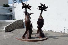 IMG_20211223_084853