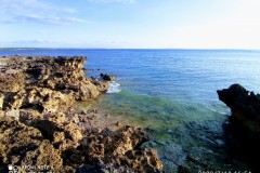 IMG_20220710_1654442