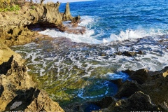 IMG_20230520_165631