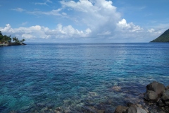 IMG_20211128_084220