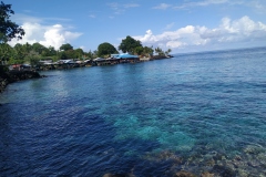 IMG_20211128_084225