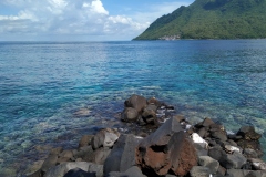 IMG_20211128_084727