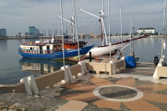 IMG_20201028_072552