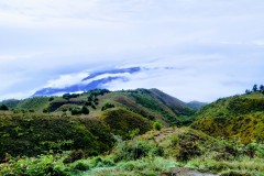 IMG_20221015_0554072