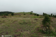 IMG_20221015_081333
