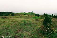 IMG_20221015_0813332