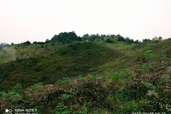 IMG_20221015_0817212