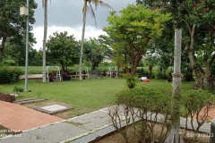 IMG_20230319_121950