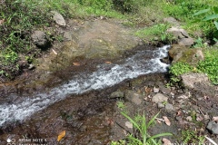 IMG_20211231_111551